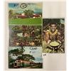 Image 1 : Fiji Postcards Approx. 55