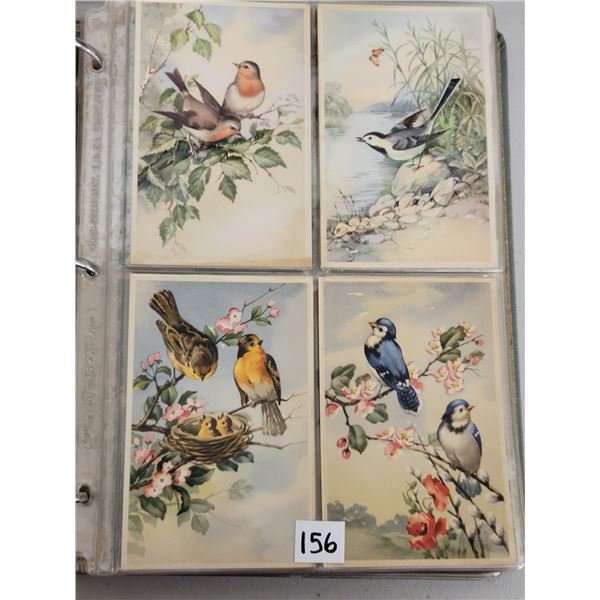 Animals 110+ Postcards