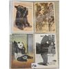 Image 7 : Animals 110+ Postcards
