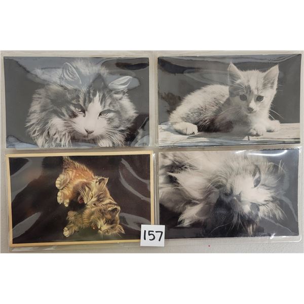 Cat Squeaker Postcards 7