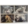 Image 1 : Cat Squeaker Postcards 7