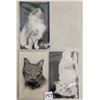 Image 2 : Cat Squeaker Postcards 7