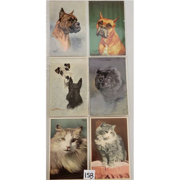 Animals Cats & Dogs Postcard Album Approx. 60