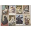 Image 4 : Animals Cats & Dogs Postcard Album Approx. 60