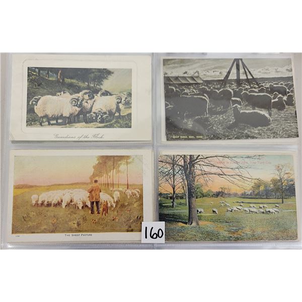 Animals - Sheep Postcard Album Approx. 195