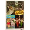 Image 3 : Disneyland & Disneyworld Postcards Approx. 115
