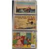 Image 6 : Comic - Humor Postcard Album Approx. 130