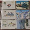 Image 1 : Sports - Skiing Album Approx. 90 Postcards