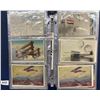 Image 3 : Aviation Album Approx. 55 Postcards