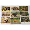 Image 1 : Animals Approx. 290 Postcards