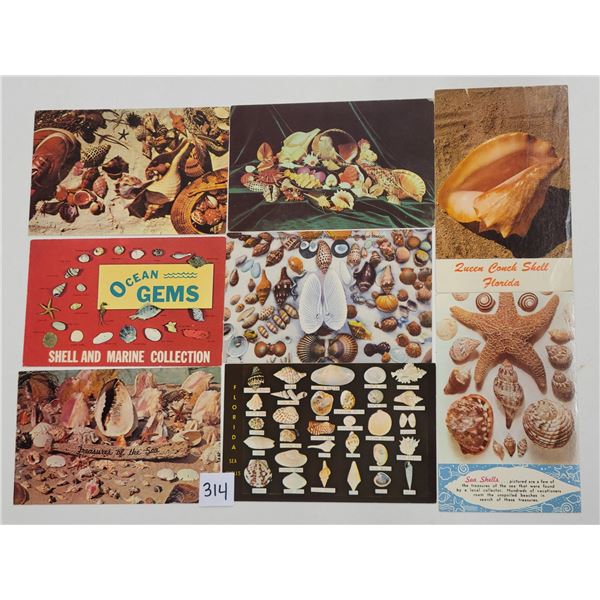 Sea Life - Sea Shell Postcards 200+
