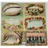 Image 2 : Seashell Greeting Postcards Approx. 40