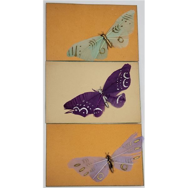 Novelty - Feather Butterfly Postcards 3