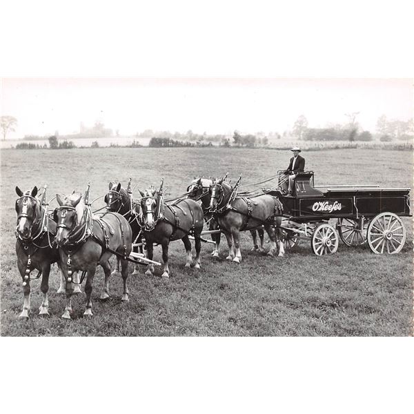 O'Keefe's Beer Horse Drawn Delivery Wagon Photo Postcard