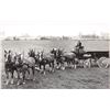 Image 1 : O'Keefe's Beer Horse Drawn Delivery Wagon Photo Postcard