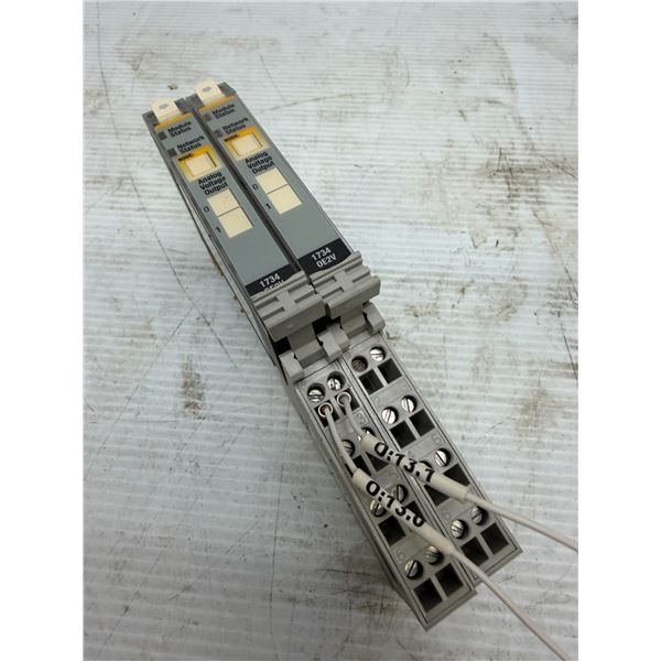 (2) Allen-Bradley #1734-0E2V