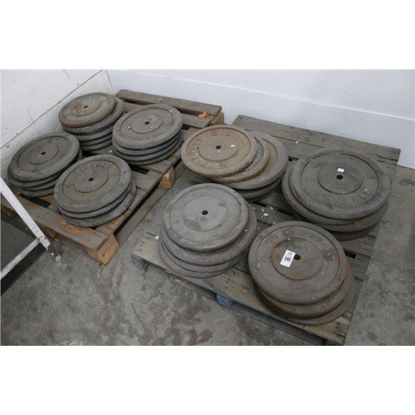 Pallets 2 w/Plate Weights