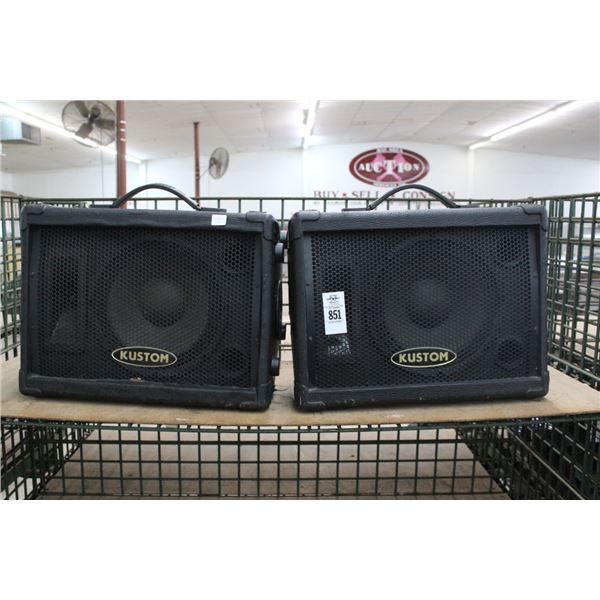 Custom Stage Speakers - Pair