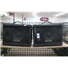 Image 1 : Custom Stage Speakers - Pair