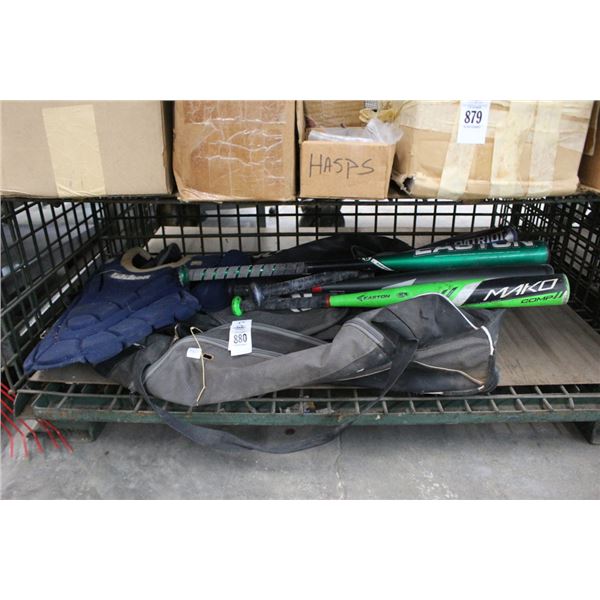 Batting Bag w/Baseball Bats, Catchers Vest