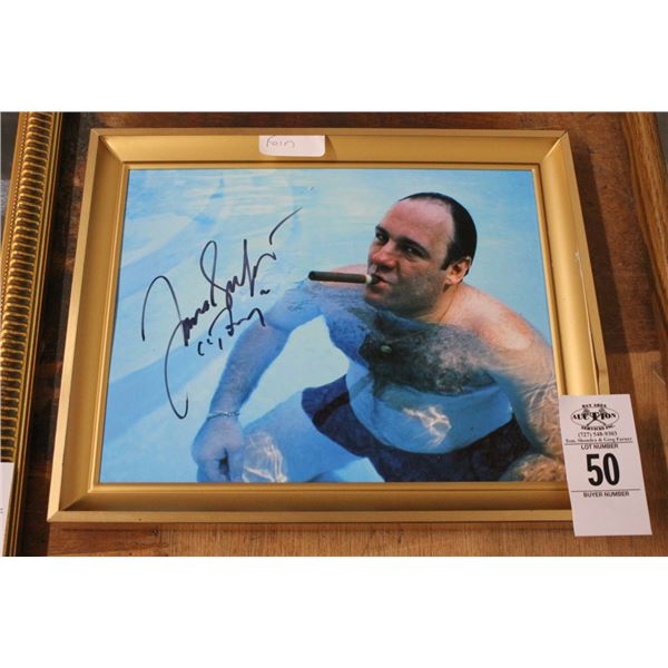 James Gandolfini Signed Photo