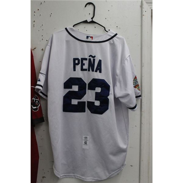 MLB World Series Pena  # 23  Jersey TB Rays