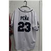 Image 1 : MLB World Series Pena  # 23  Jersey TB Rays