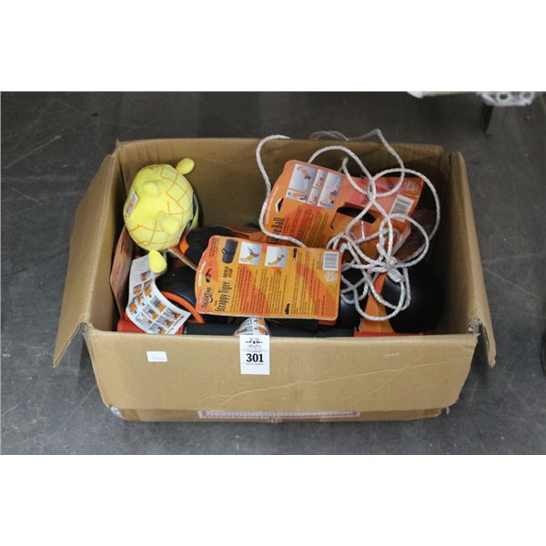 Foam Rollers, Knee Pads, Exercise Accessories