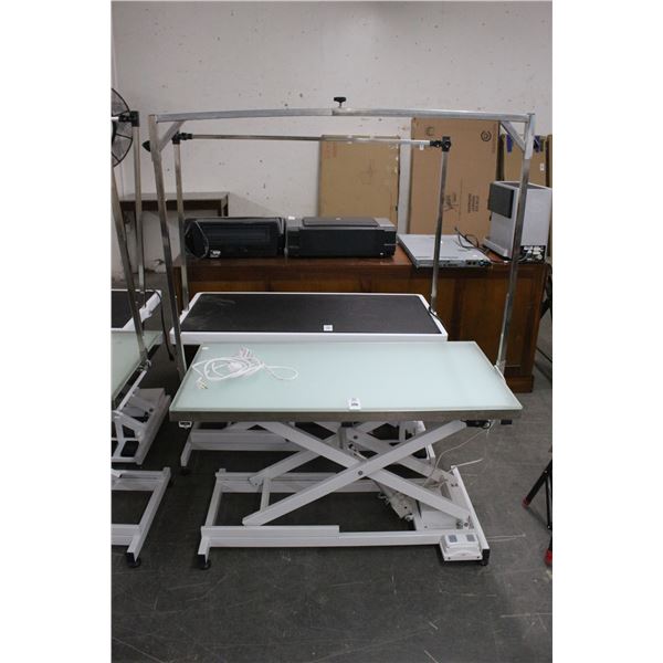 Electric Adjustable Height Pet Grooming Table