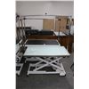 Image 1 : Electric Adjustable Height Pet Grooming Table