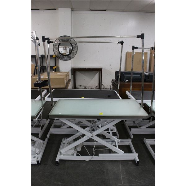 Electric Adjustable Height Pet Grooming Table