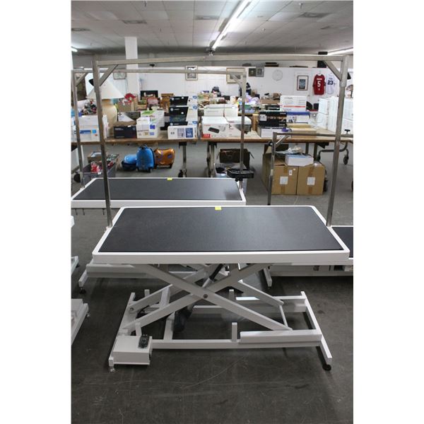 Electric Adjustable Height Pet Grooming Table