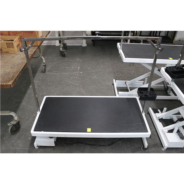 Electric Adjustable Height Pet Grooming Table