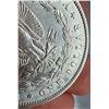 Image 3 : MORGAN SILVER DOLLAR - 1896