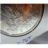 Image 3 : MORGAN SILVER DOLLAR - 1900O