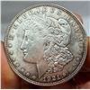 Image 1 : MORGAN SILVER DOLLAR - 1921D