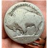 Image 13 : BUFFALO (INDIAN HEAD) NICKELS - lot of 12; 1936 (x6), 1936D (x2), 1937 (x2), no dates (x5)