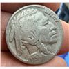 Image 16 : BUFFALO (INDIAN HEAD) NICKELS - lot of 12; 1936 (x6), 1936D (x2), 1937 (x2), no dates (x5)