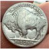 Image 17 : BUFFALO (INDIAN HEAD) NICKELS - lot of 12; 1936 (x6), 1936D (x2), 1937 (x2), no dates (x5)
