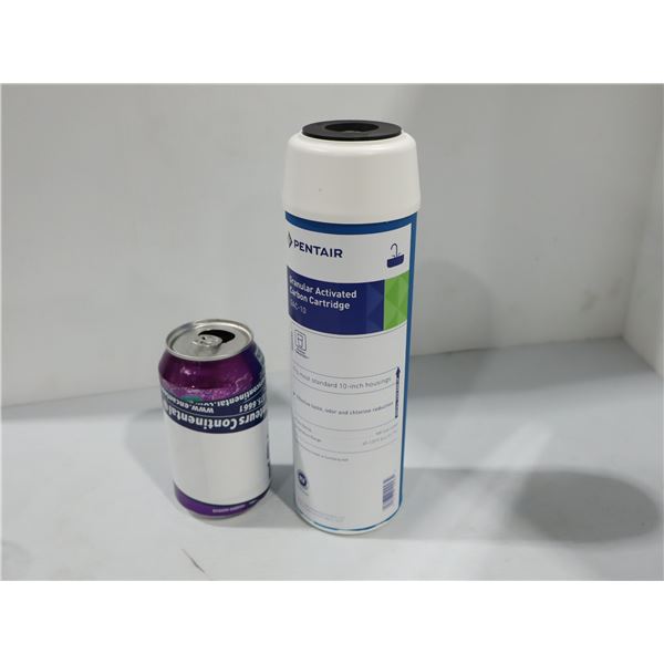 CARTOUCHE DE CHARBON ACTIF GRANULAIRE 10" PENTAIR GAC-10
