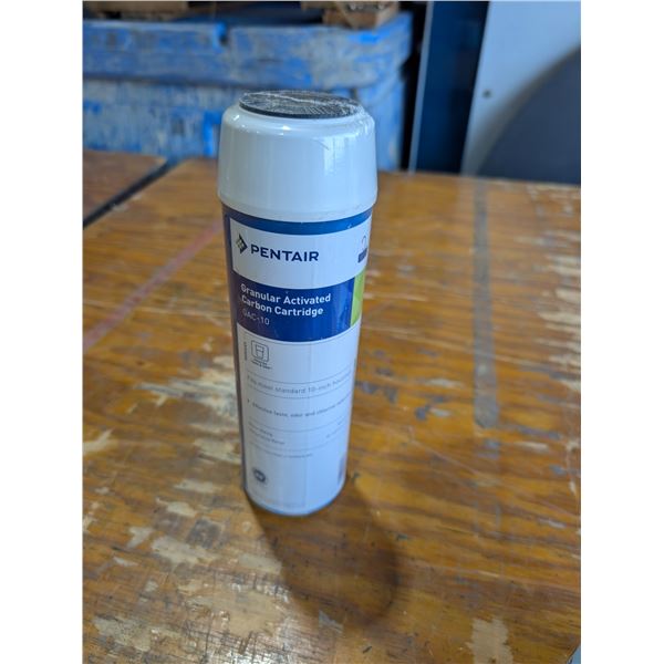 CARTOUCHE DE CHARBON ACTIF GRANULAIRE 10" PENTAIR GAC-10