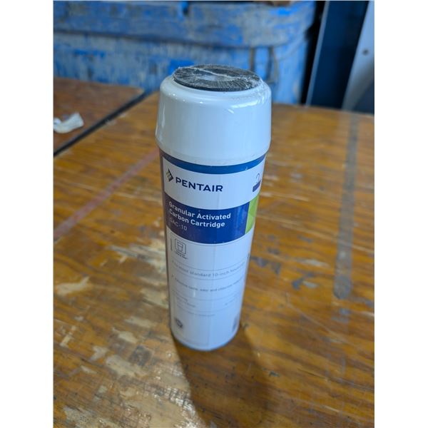 CARTOUCHE DE CHARBON ACTIF GRANULAIRE 10" PENTAIR GAC-10