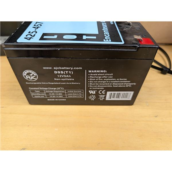 BATTERIE 12V 9Ah D9S(T1)