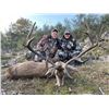 Image 12 : Red Stag In Spain