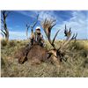 Image 11 : Patagonia Big Game