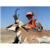 Image 3 : Wyoming Resident Youth Pronghorn Hunt