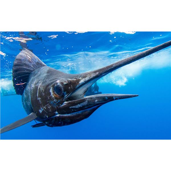 Crocodile Bay Costa Rica