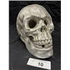 Image 1 : Resin skull 7" tall