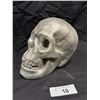 Image 2 : Resin skull 7" tall