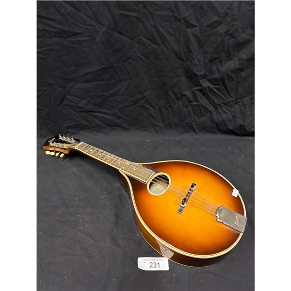 1948 Herman Carlson Levin mandoline made in Sweden with case